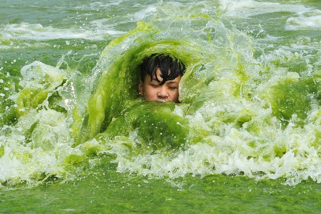 Menino é fotografado em praia coberta de algas verdes em Qingdao, na província de Shandong, na China - 19/07/2016