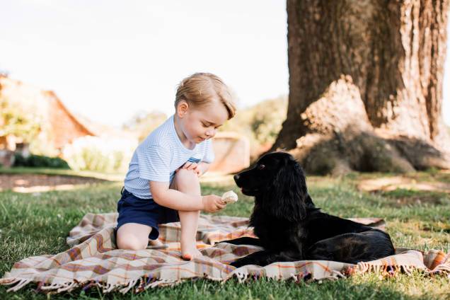 Príncipe George é fotografado com o cão de estimação da família, Lupo, na comemoração de seu terceiro aniversário, em 2016 Príncipe George é fotografado com o cão de estimação da família, Lupo, na comemoração de seu terceiro aniversário, em 2016