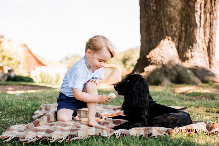 Príncipe George é fotografado com o cão de estimação da família, Lupo, na comemoração de seu terceiro aniversário, em 2016