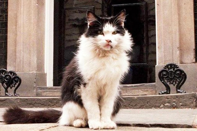 Humphrey: o gato adotado em 1989, durante o mandato de Margaret Thatcher e aposentado em 1997