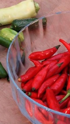 Aprenda cultivar pimentas e preparar uma conserva