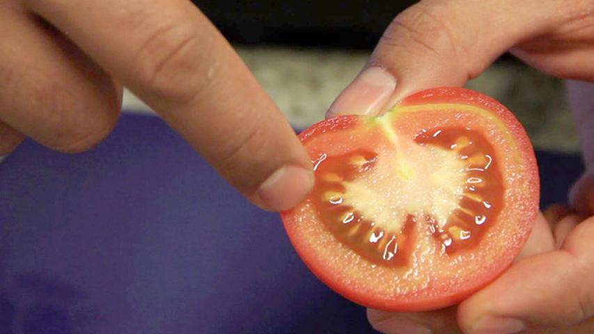 Conheça os tipos de tomate e seu uso na cozinha