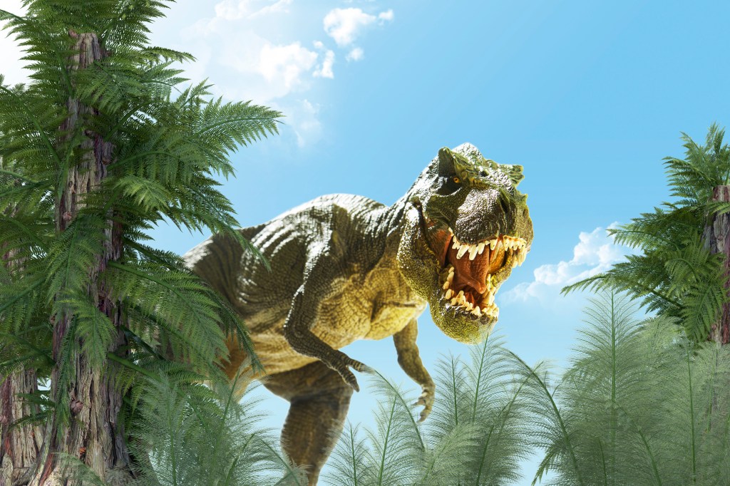 Tiranossauro Rex