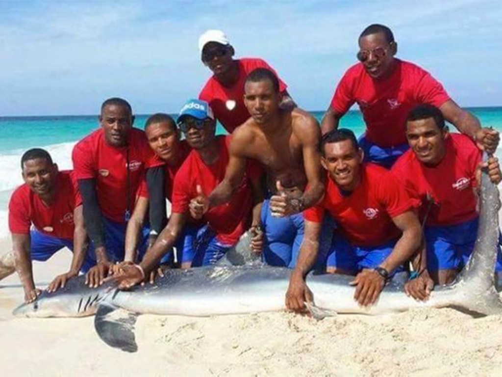 Grupo de homens tira foto em cima de um tubarão que morreu após ser retirado da água, em Punta Cana na República Dominicana