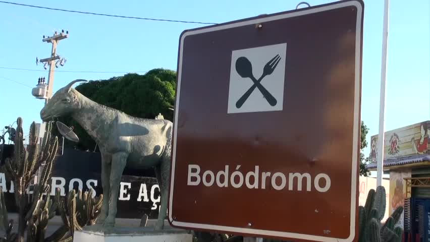 No Bodódromo, carneiro é rei