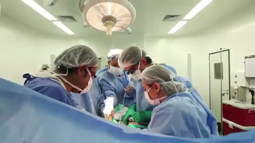 O primeiro transplante multivisceral no Brasil