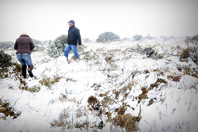 Baixas temperaturas provocam neve em São Joaquim, na Serra Catarinense
