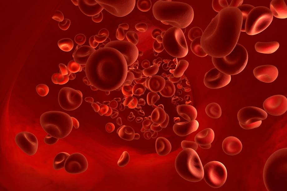 Células vermelhas do sangue