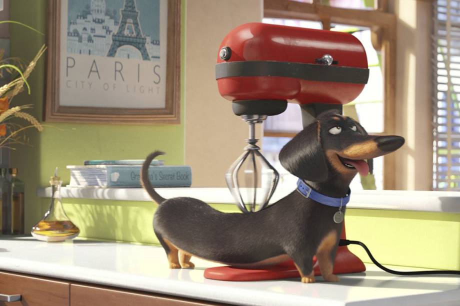 Filme Pets - A vida secreta dos animais