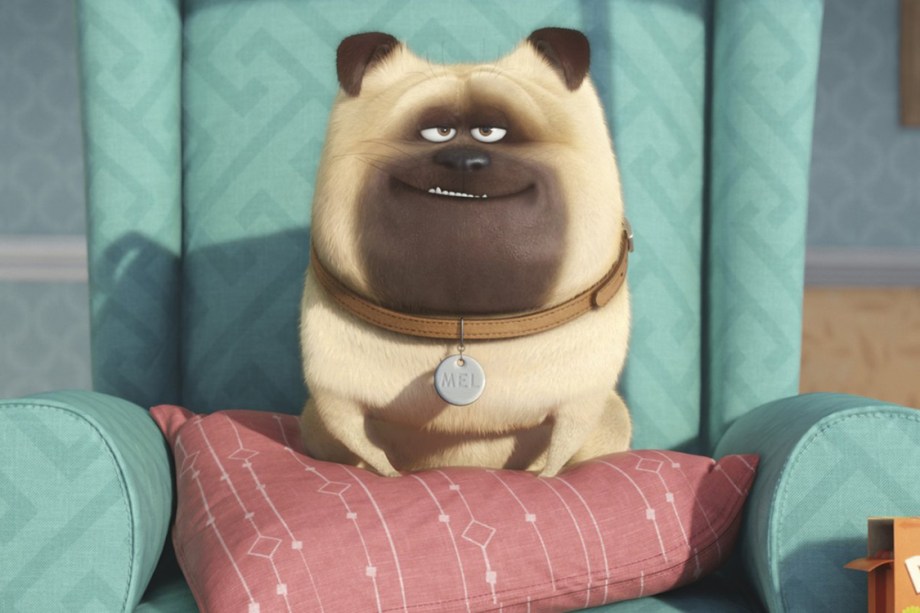 Mel é interpretado por Bobby Moynihan, na animação Pets - A vida secreta dos animais