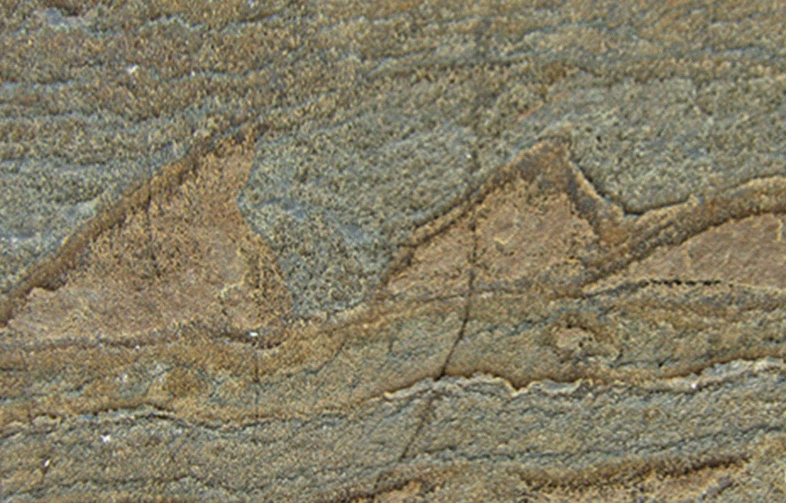 Fóssil mais antigo do mundo é encontrado na Groenlândia