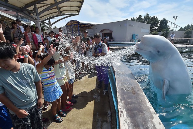 Uma baleia beluga espirra água em crianças durante uma atração de verão em um parque aquático de Yokohama, no Japão