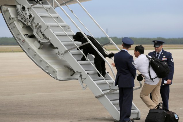 O cachorro Sunny da família Obama, corre para embarcar no avião presidencial Air Force One, na estação aérea da Guarda Costeira em Cape Cod, Massachusetts