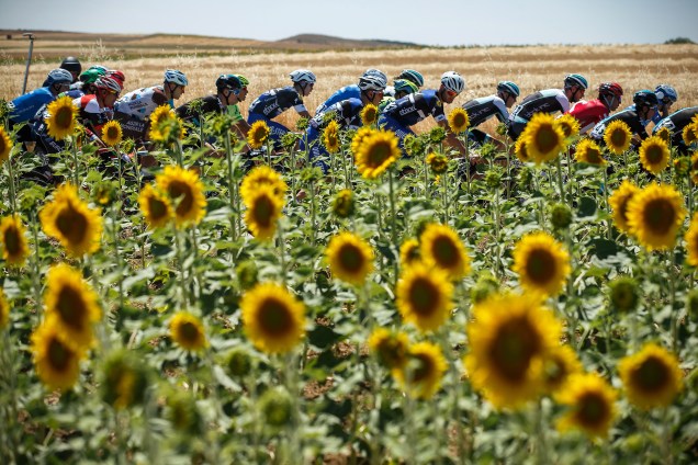 Ciclistas participam da primeira etapa da 38ª edição da "La Vuelta a Burgos", disputada em 158 km de Sasamon a Melgar de Fernamental , na província de Burgos, na Espanha - 02/08/2016