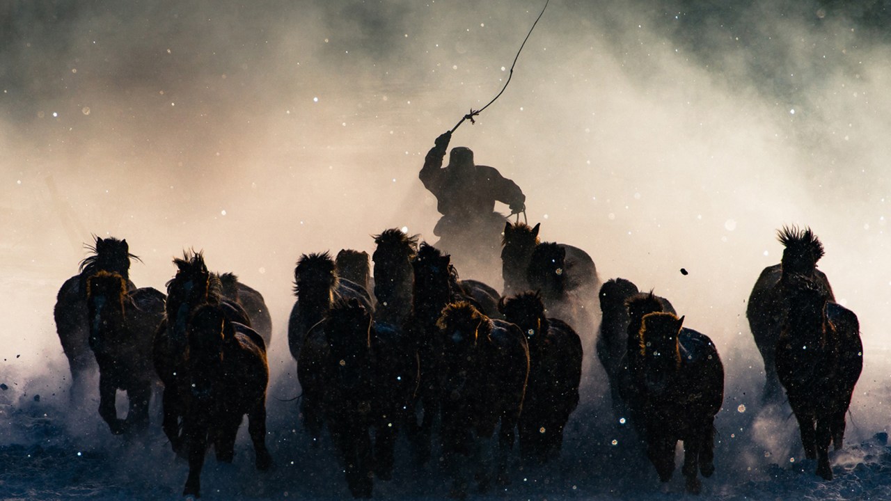 Fotógrafo registra cuidador guiando sua tropa de cavalos em uma fria manhã na Mongólia