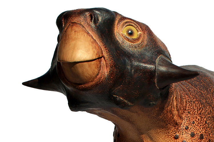 Reprodução é baseada em estudos de um fóssil de dinossauro na China, com a pele sendo preservada