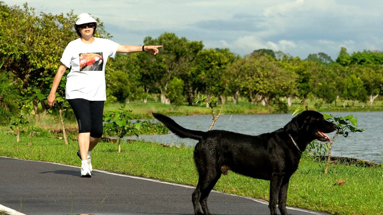 Dilma Rousseff caminha com seu cão, Nego, em Brasília - 2010