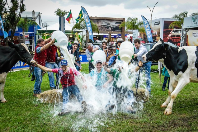Vencedores do concurso leiteiro da raça holandesa, levam um banho de leite durante a 39ª Expointer, no Rio Grande do Sul