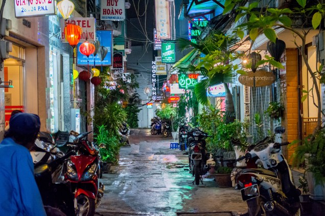 Os estrangeiros vivendo no Vietnã estão muito satisfeitos com a natureza amigável da população local. Entre os entrevistados, 84% avaliaram a simpatia geral dos moradores de forma positiva e 63% afirmaram que é fácil fazer amigos no país