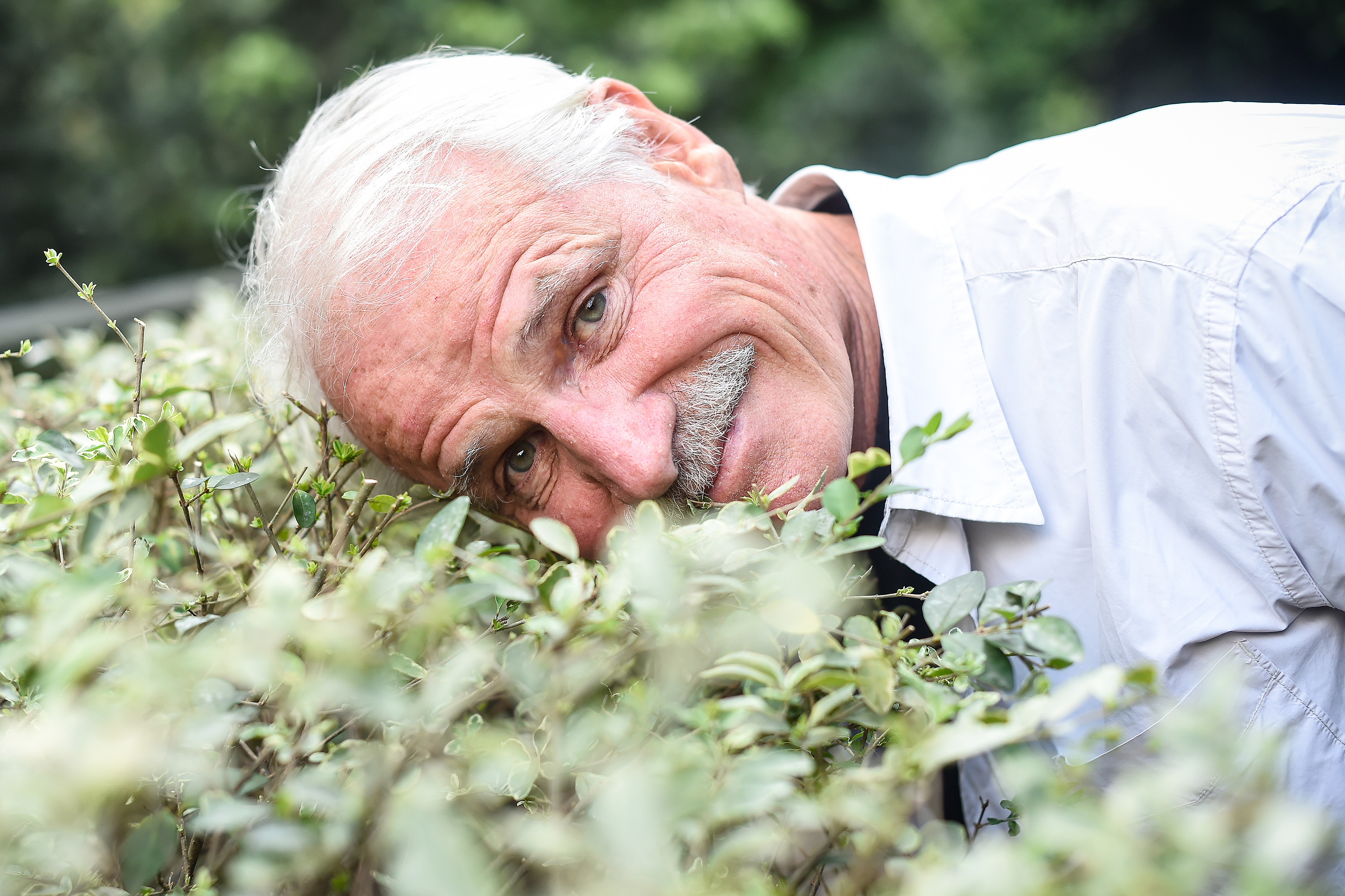 O fotógrafo e documentarista Yann Arthus Bertrand