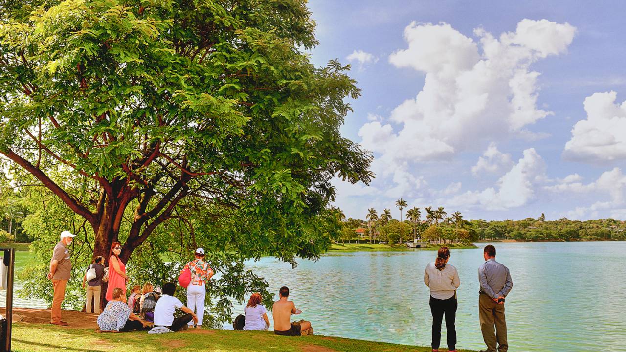 Parque do Ibirapuera, em São Paulo (SP)