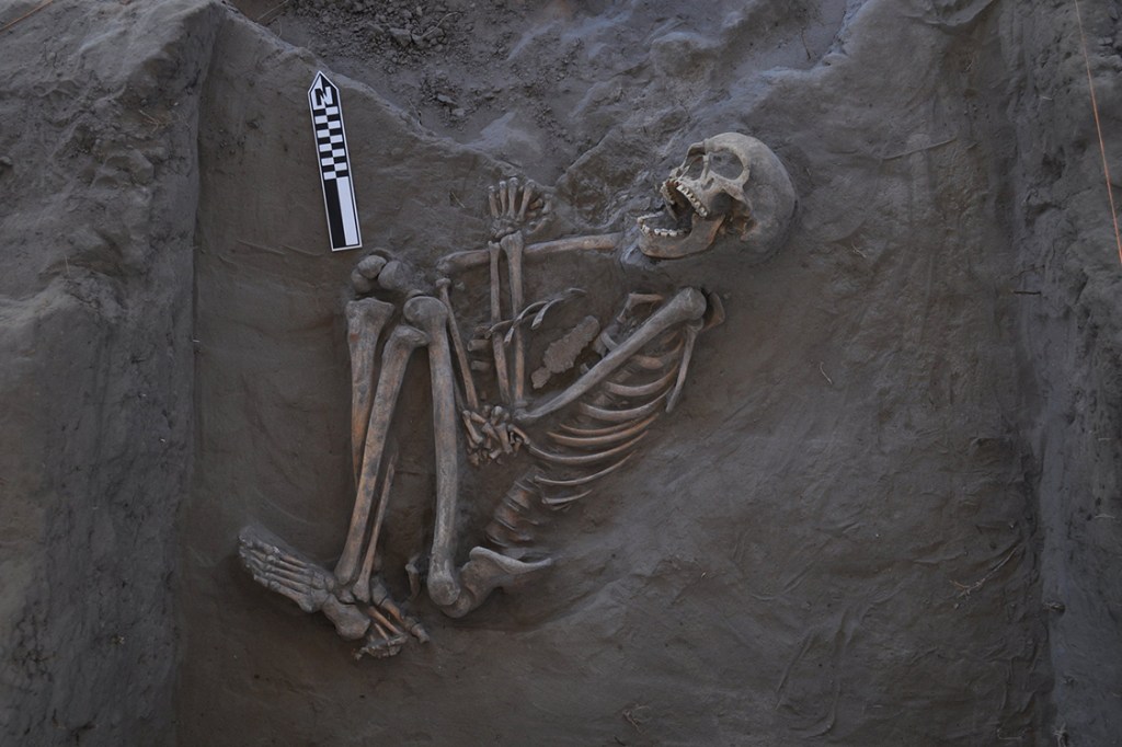 Arqueólogos descobrem esqueleto com desvio no crânio, possivelmente causado por um ataque de boomerang