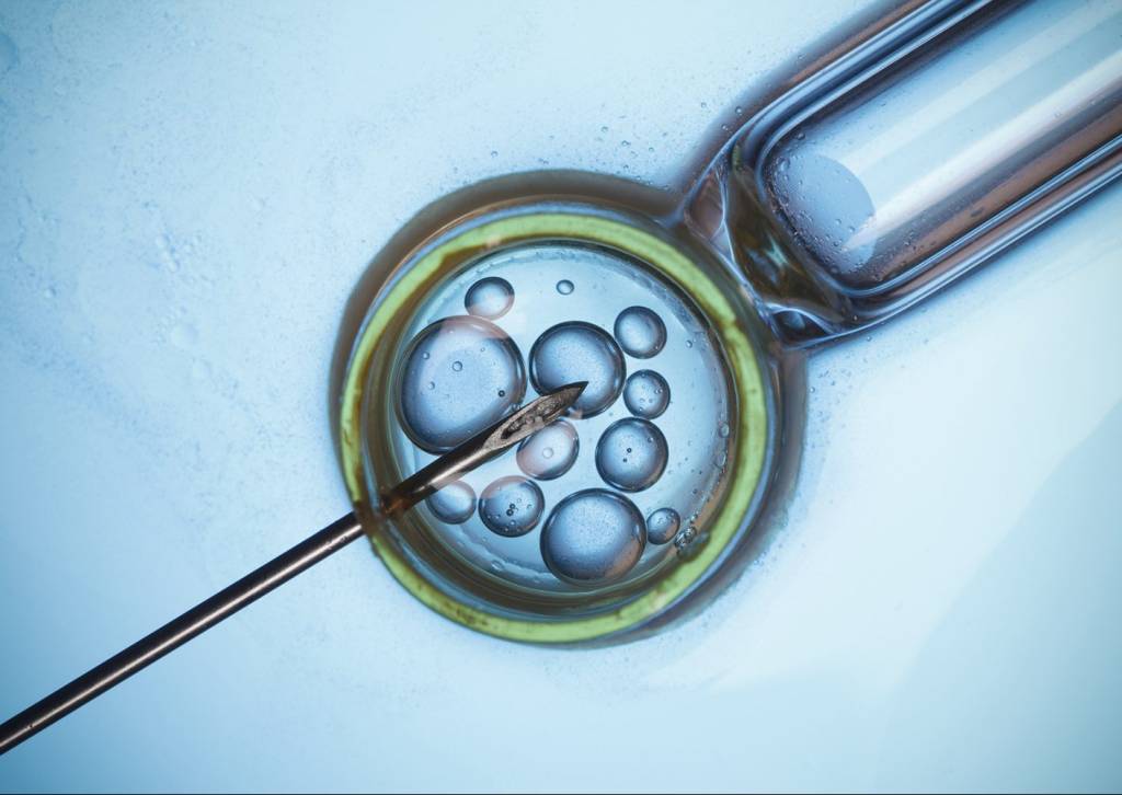 Por que a infertilidade está aumentando mundialmente