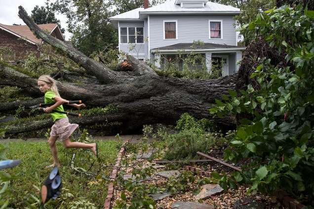 A árvore derrubada após passagem do furacão Matthew  em Savannah, no estado americano da Georgia - 08/10/2016