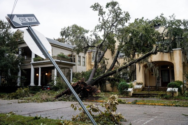Árvore derrubada após passagem do furacão Matthew  em Savannah, no estado americano da Georgia - 08/10/2016