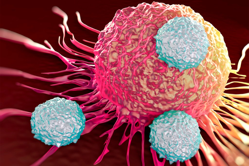 Saúde - Ataque de células cancerígenas
