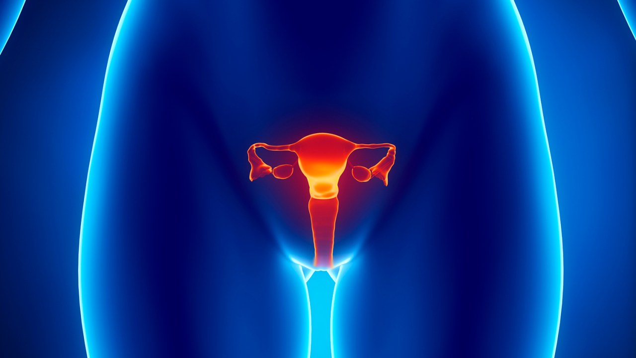 Saúde - Aparelho reprodutor feminino