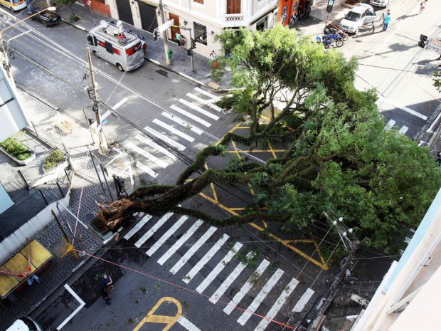 Árvore tombada em rua da zona sul após temporal no fim de dezembro  (Foto Felipe Rau/Estadão Conteúdo)