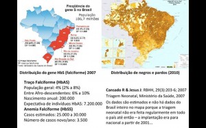 Anemia quadro Brasil