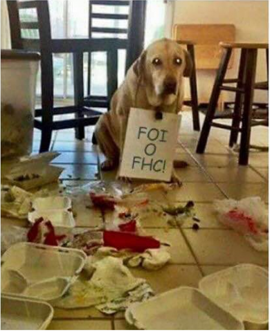 cachorro culpa FHC