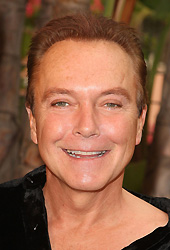 David Cassidy