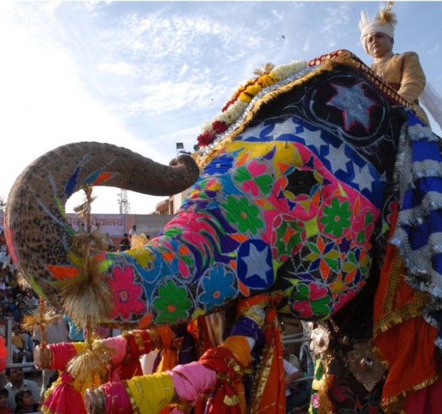 Elefante pintado em festival indiano: lembrança do que as cidades inteligentes não podem se transformar
