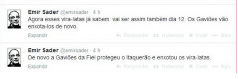 Emir Sader vira-lata