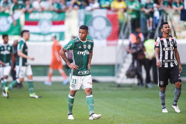 Gabriel Jesus do Palmeiras durante partida contra o Botafogo, válida pela 36ª rodada do Campeonato Brasileiro na Arena do Palmeiras, em São Paulo - 20/11/2016