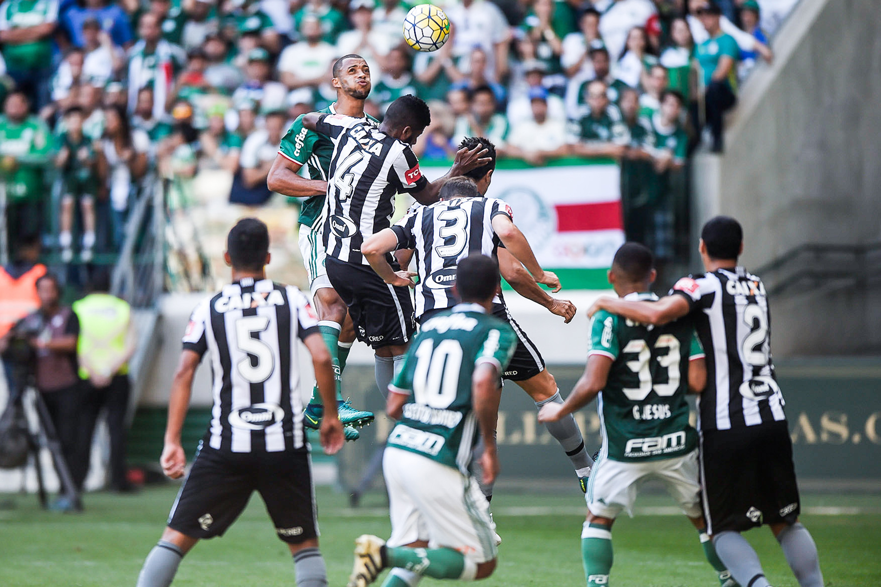 Palmeiras Vence O Botafogo E Se Aproxima Do Título | VEJA