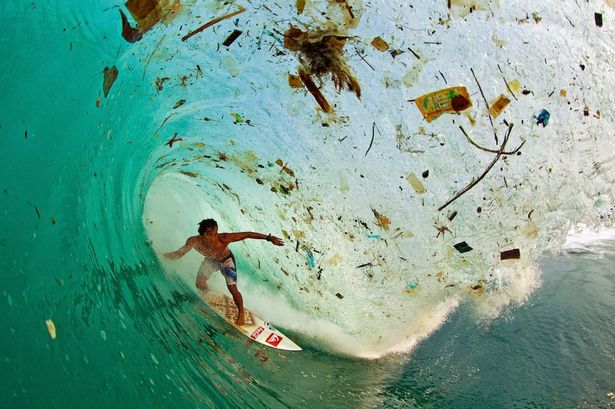 Surfista nas águas poluídas da Indonésia, imagem da Global Population Speak Out