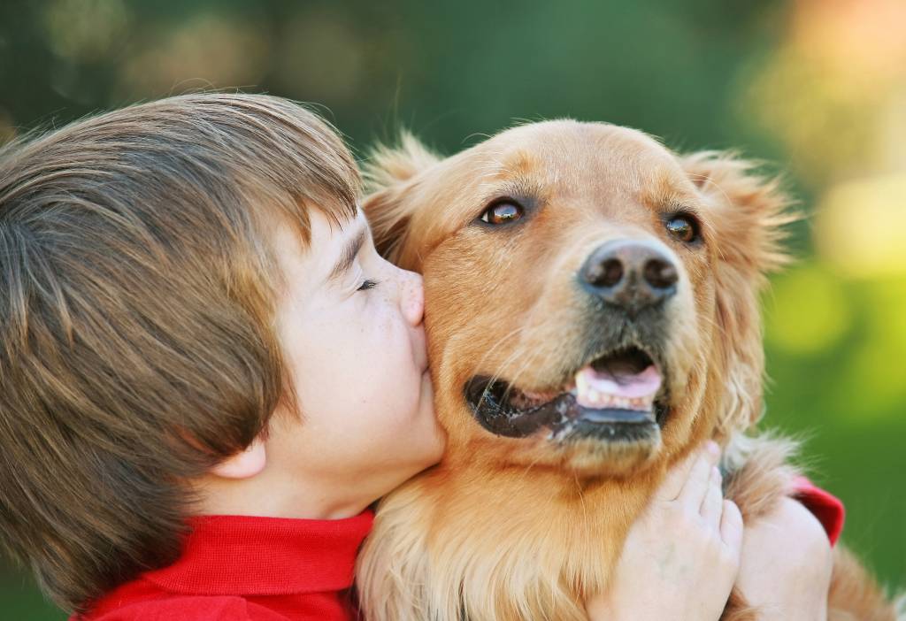 Golden retrievers e humanos dividem genes ligados ao comportamento