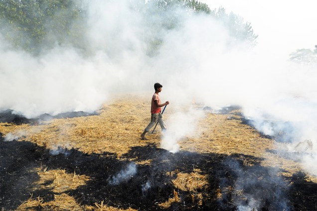 Agricultor queima palhas em um campo na cidade de Jalandhar, no estado indiano de Punjab - 04/11/2016