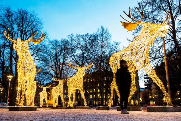 Centenas de lâmpadas iluminam estátuas de alces em iluminação natalina de Estocolmo, na Suécia - 28/11/2016
