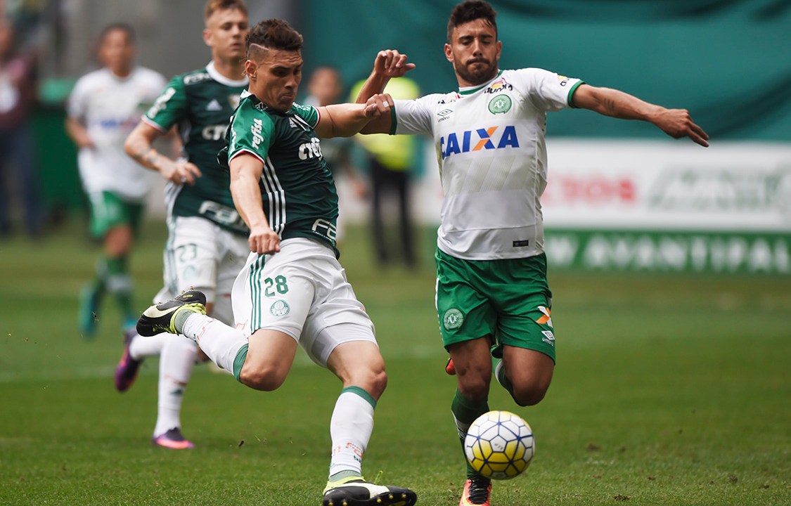 Jogo: Palmeiras x Chapecoense, última rodada do brasileirão