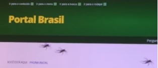Mosquitoa de Dilma