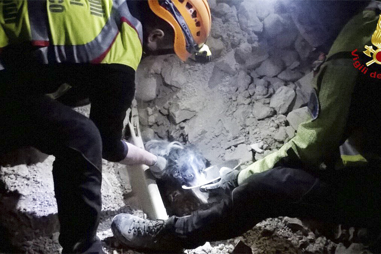 Cão é resgatado com vida após terremoto atingir Nórcia, região central da Itália