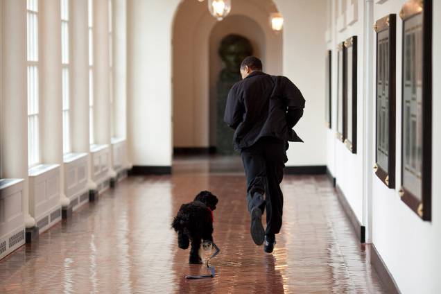 Presidente Obama brinca com cachorrinho Bo, logo antes de ser adotado pela família - 15/03/2009