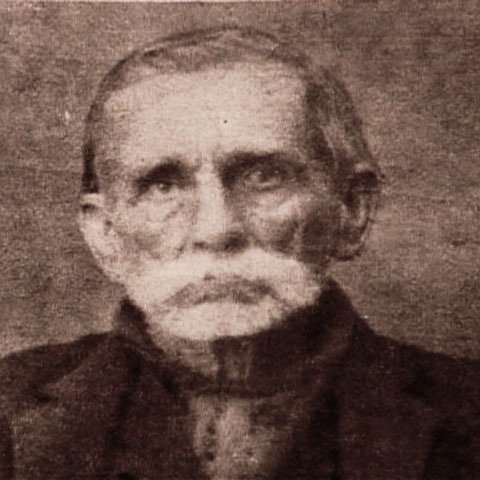 Randolph-McCoy
