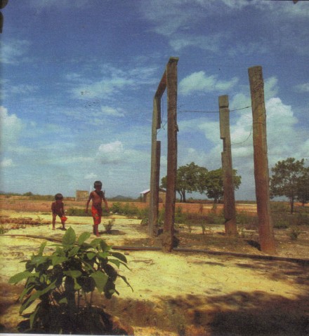 Poesia de Ayres Britto, com apoio de maioria do Supremo, tornou deserto um campo de arroz. Resultado dos versos: fome, miséria e migração