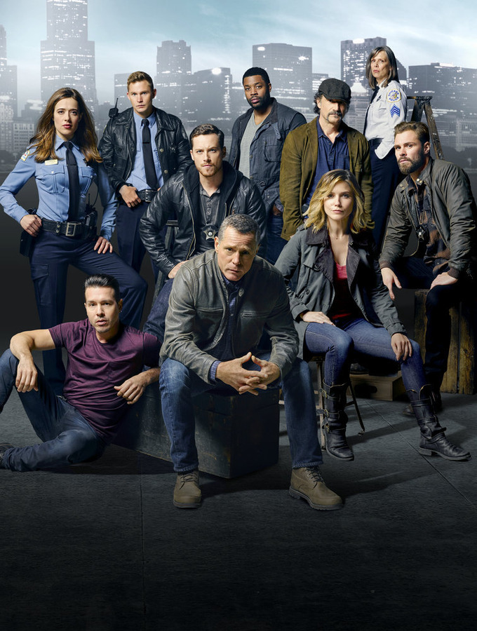 Fotos do elenco de ‘Chicago P.D.’, terceira temporada VEJA